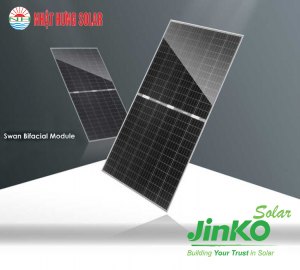 tam-pin-jinko-swan-bifacial